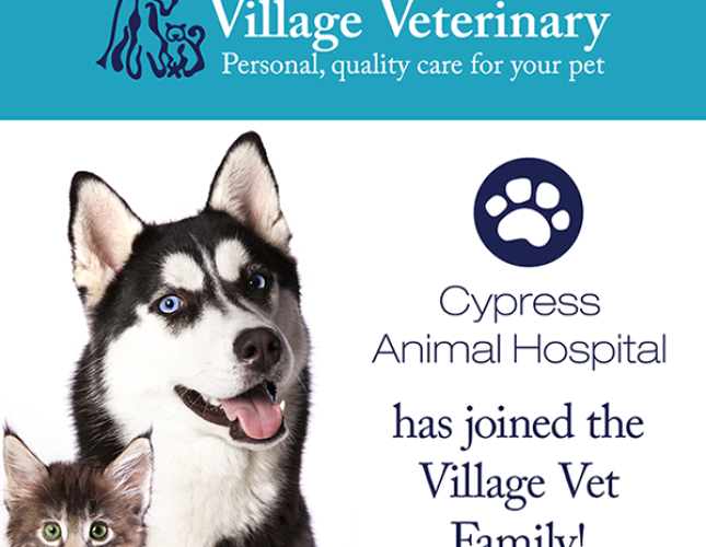 Village Veterinary: Top Rated Jupiter Veterinarians